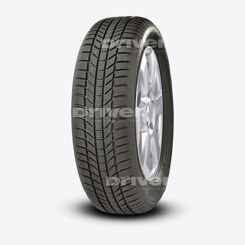 WinterContact TS 870 P