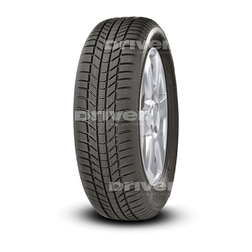 WinterContact TS 870 P