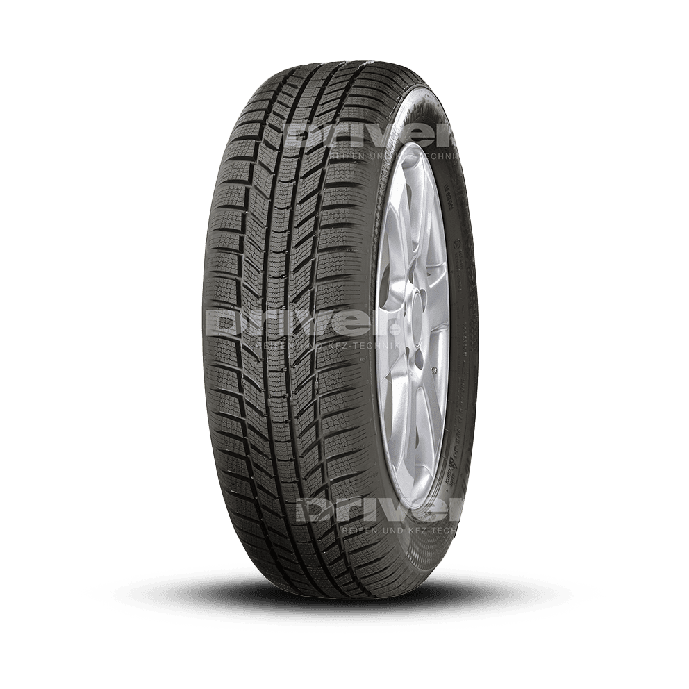 WinterContact TS 870 P