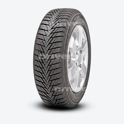 ContiWinterContact TS 800